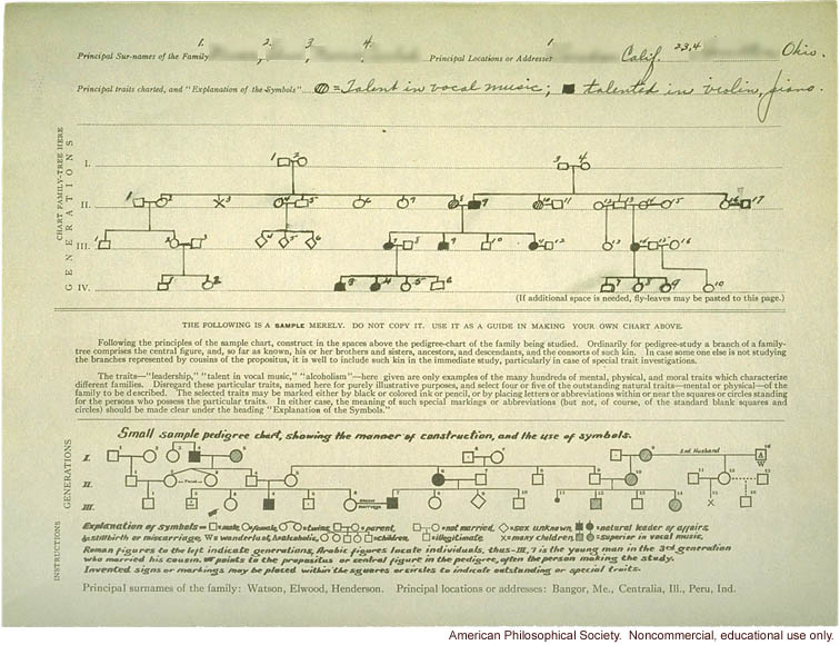 &quote;Family-tree folder: Players of musical instruments&quote;