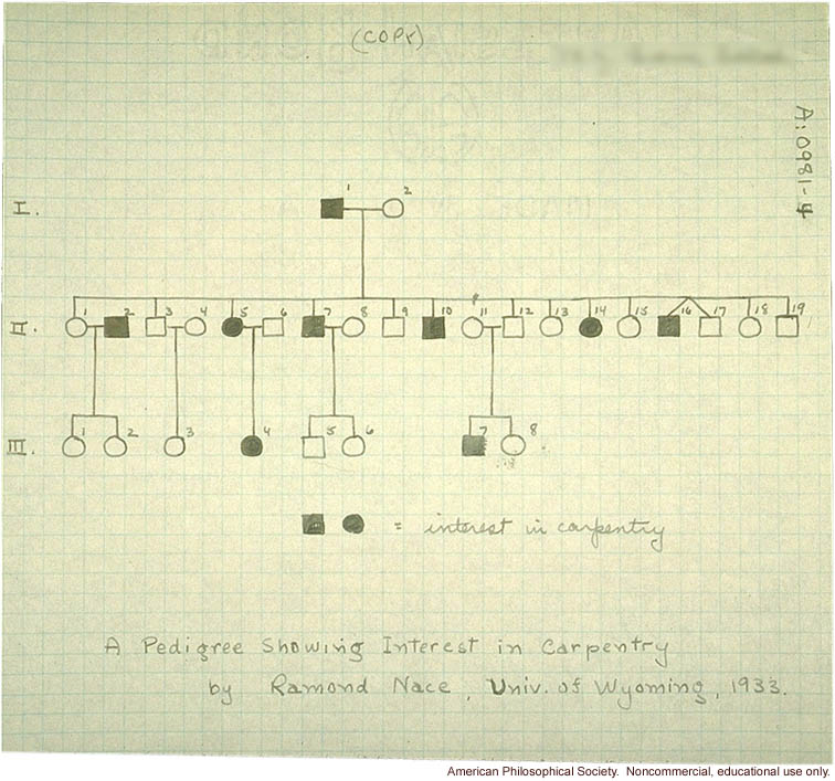 Student study of inheritance of an interest in carpentry