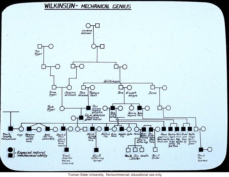 &quote;Wilkinson-mechanical genius -- especial natural mechanical ability&quote; 

