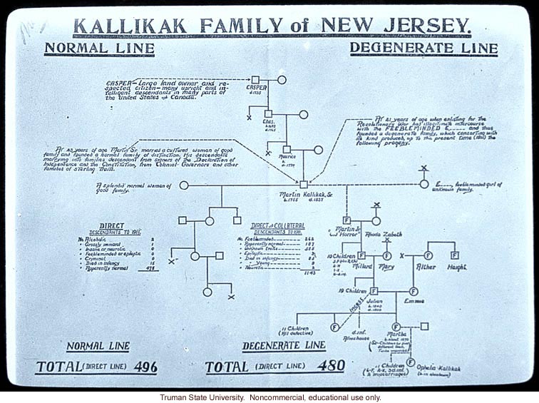 &quote;Kallikak family of New Jersey -- normal line vs. degenerate line&quote;