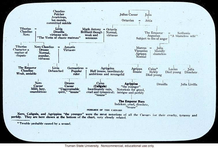 &quote;Pedigree of the Caesars,&quote; about the close relatedness of the Caesars