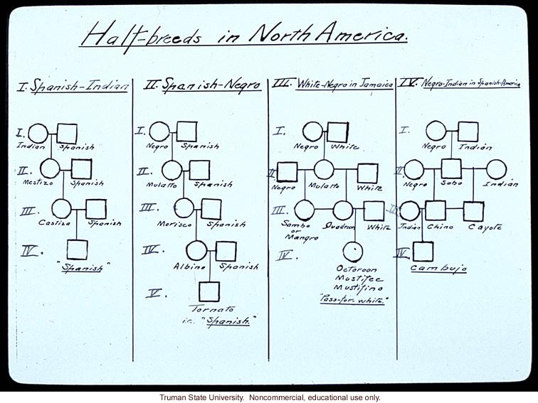 &quote;Half-breeds in North America&quote;