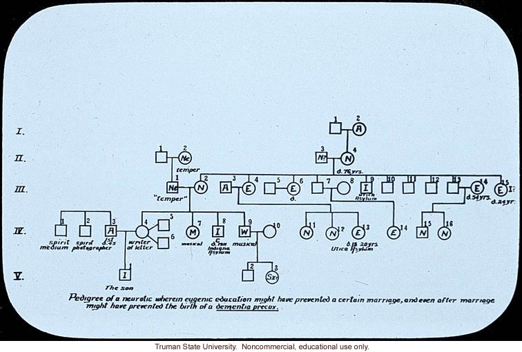 &quote;Pedigree of a neurotic ...&quote;