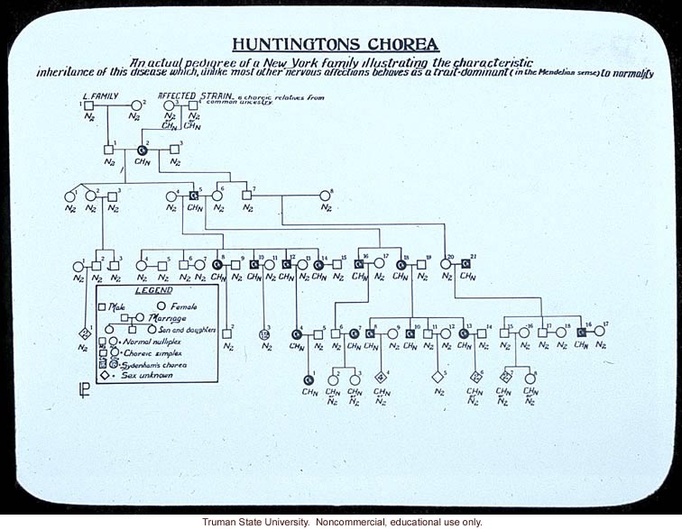 Huntington's chorea pedigree