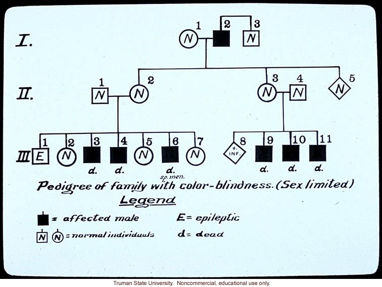 &quote;Pedigree of family with color blindness. (Sex limited).&quote;