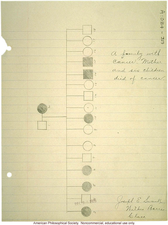 &quote;A family with cancer. Mother and six children died of cancer,&quote; pedigree and family history of stomach cancer