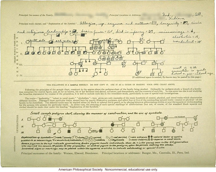 Family-tree folder recording inheritance of allergies, longevity, civic leadership, and other traits