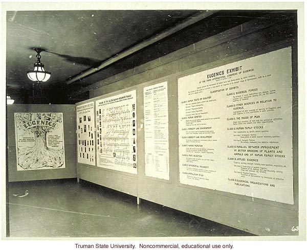 Eugenics exhibit with tree, 3rd International Eugenics  Conference