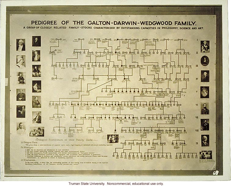 &quote;Pedigree of Galton-Darwin-Wedgwood family,&quote; 3rd International Eugenics Conference