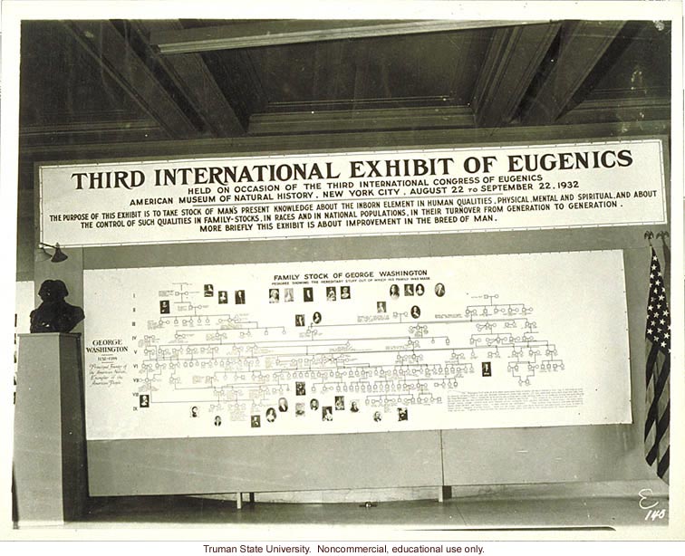 Pedigree exhibit: &quote;Family stock of G. Washington,&quote; 3rd International Eugenics Conference