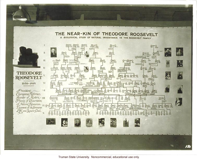 Pedigree exhibit: &quote;The near-kin of Theodore Roosevelt,&quote; 3rd International Eugenics Conference