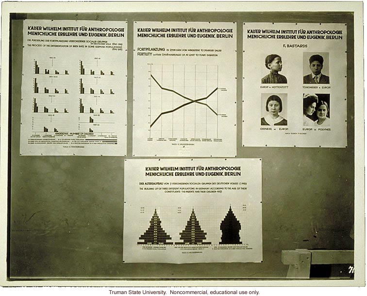 Kaiser Wilhelm Institute exhibit on population studies in Germany, 3rd International Eugenics Conference