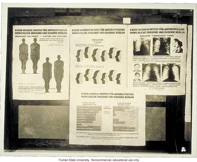 Kaiser Wilhelm Institute twin study, 3rd International Eugenics Conference