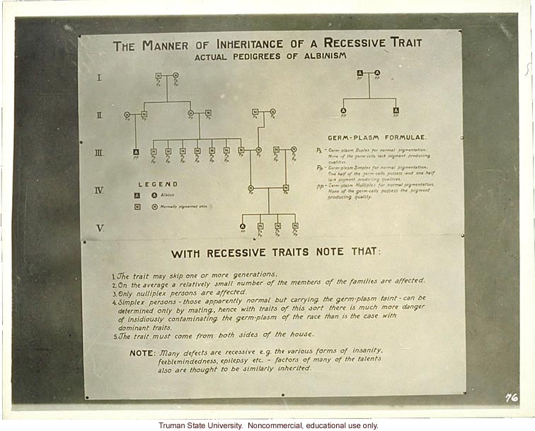 Pedigree exhibit: &quote;The manner of inheritance of recessive trait.  Actual pedigrees of albinism,&quote; 3rd International Eugenics Conference