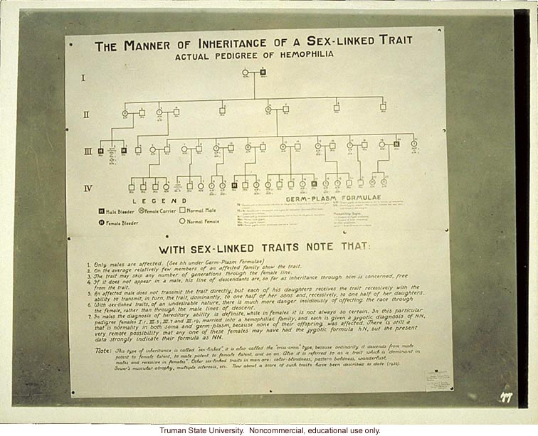 &quote;The manner of inheritance of a sex-linked trait.  Actual pedigree of hemophilia,&quote; 3rd International Eugenics Conference