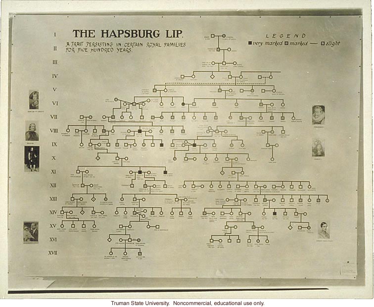 Pedigree exhibit: &quote;The Hapsburg lip,&quote; 3rd International Eugenics Conference