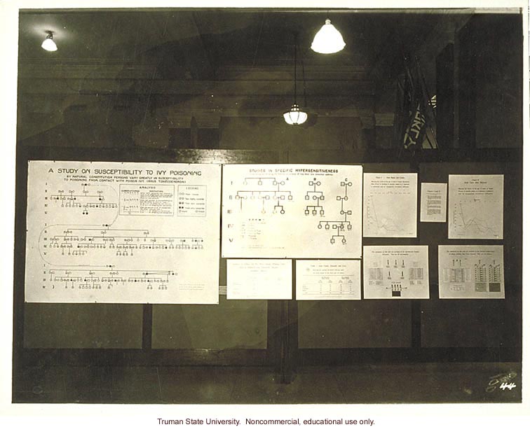 Pedigree exhibit: &quote;A study on susceptibility to ivy poisoning,&quote; 3rd International Eugenics Conference