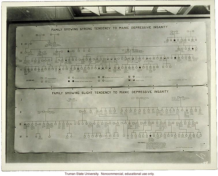 Pedigree exhibit: &quote;Family showing strong tendency to manic depressive insanity,&quote; 3rd International Eugenics Conference