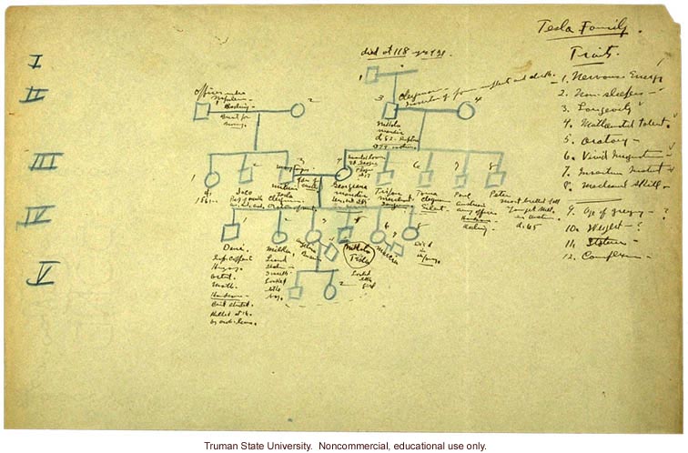 H. Laughlin's hand-written pedigree of the Tesla family