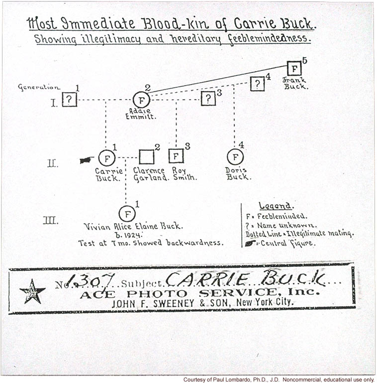 &quote;Most immediate blood-kin of Carrie Buck.  showing illegitimacy and hereditary feeblemindedness.&quote;