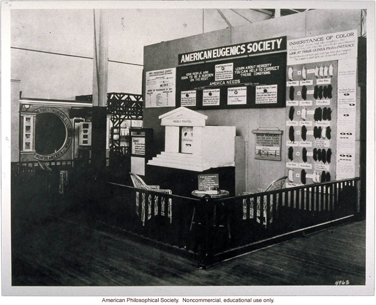 American Eugenics Society exhibit at Sesquicentennial Exposition, Philadelphia (&quote;Mendel's theater,&quote; center; guinea pig coat color, right)