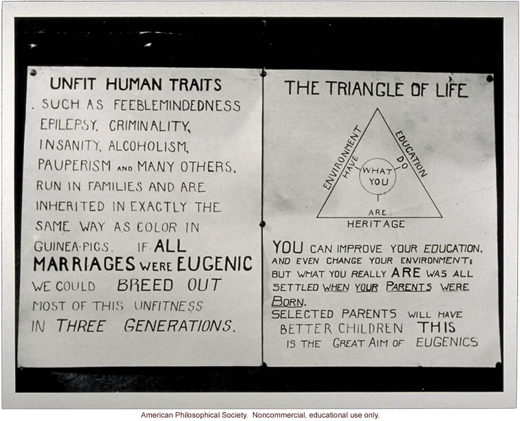 Eugenics Triangle of Life