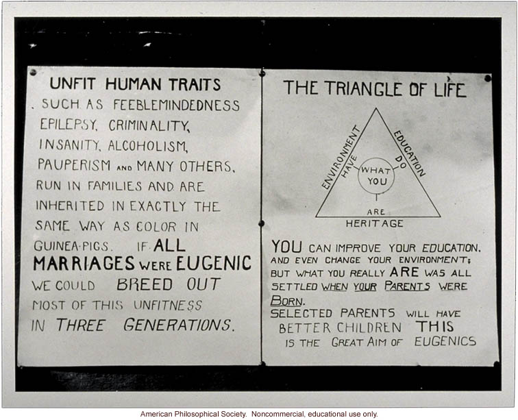 &quote;Unfit Human Traits&quote; and &quote;Triangle of Life.&quote;