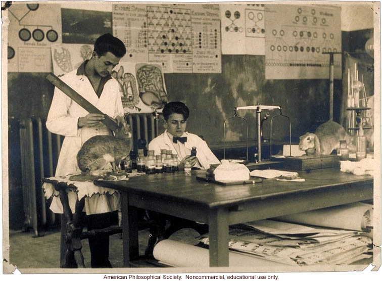 Fridtjof and Heljar Mjen, sons Jon Alfred Mjen, director of the Vindern Biological Laboratory (Oslo, Norway)