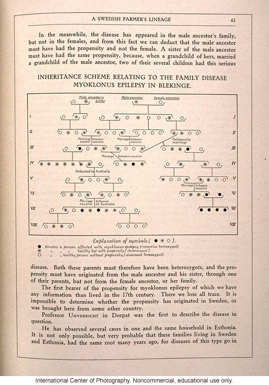 <i>The Swedish Nation</i>, pedigree of epilepsy in Swedish farmer lineage