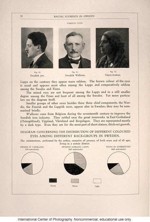 <i>The Swedish Nation</i>, &quote;Racial Elements in Sweden&quote; (Nordic, Finnish, Lapp, foreign)