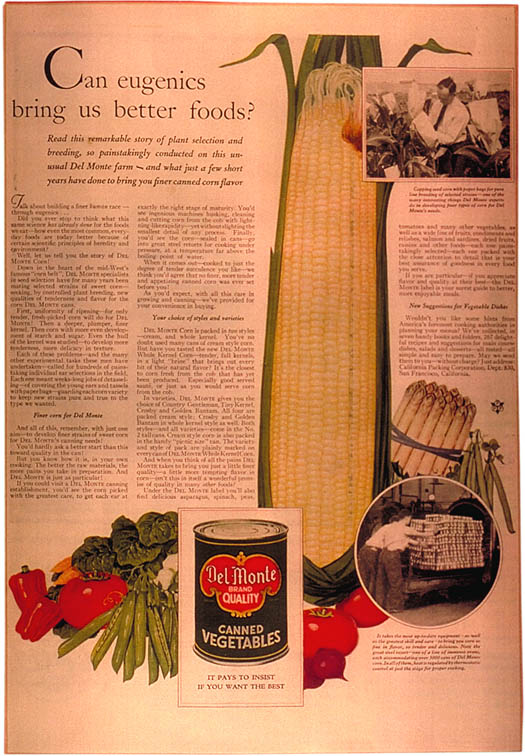 Poster: &quote;Can Eugenics Bring Us Better Food?&quote; Applying genetics and selection from humans to crops