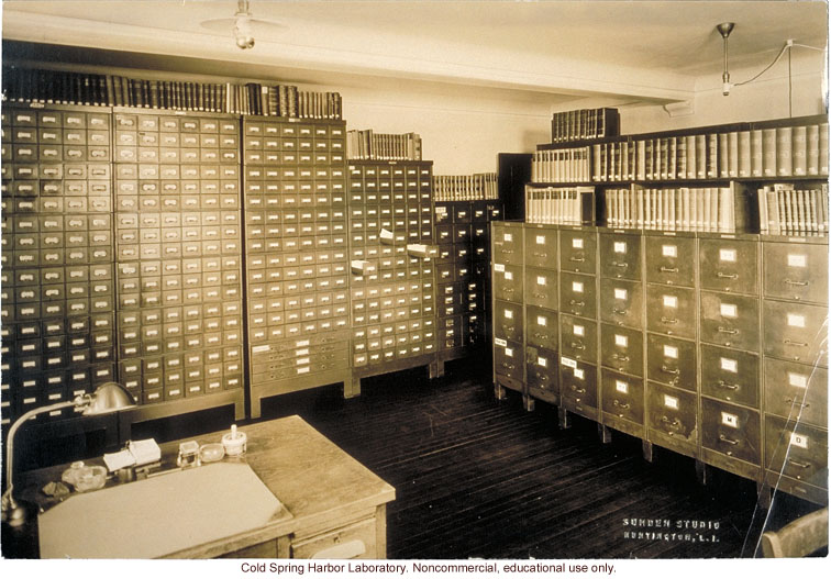 Eugenics Record Office, archives room with card index on far wall and field worker files on right