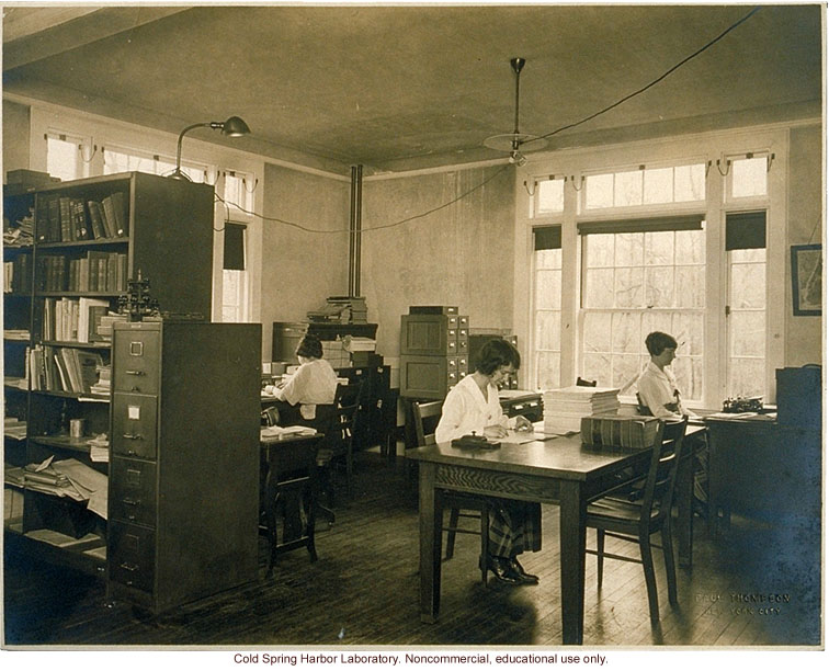 Eugenics Record Office, interior with workers