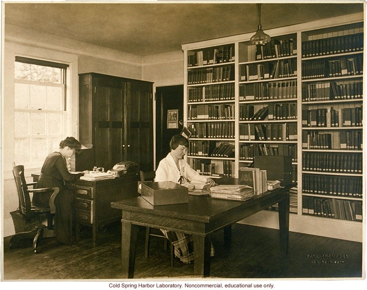 Eugenics Record Office, interior with workers