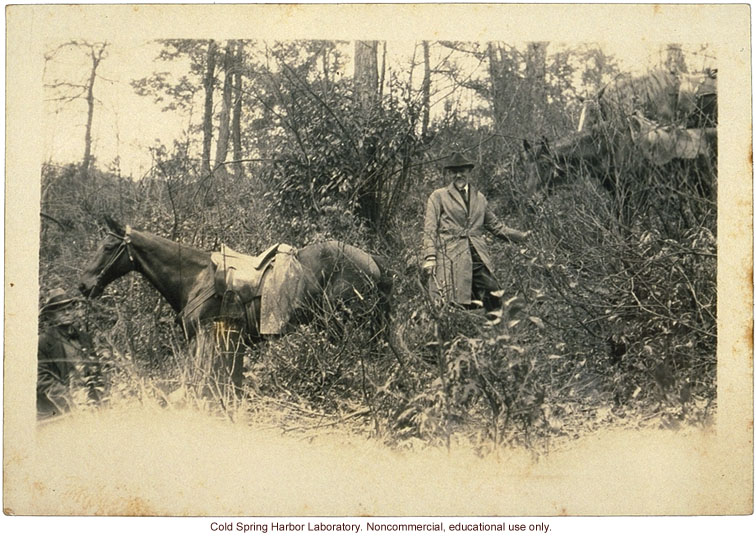 Charles B. Davenport doing fieldwork in Leslie County, Kentucky