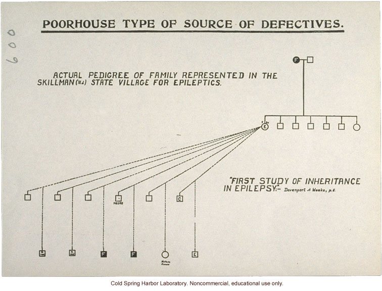 &quote;Poorhouse Type of Source of Defectives,&quote; pedigree of epilepsy and feeblemindedness (C. Davenport and D. Weeks)