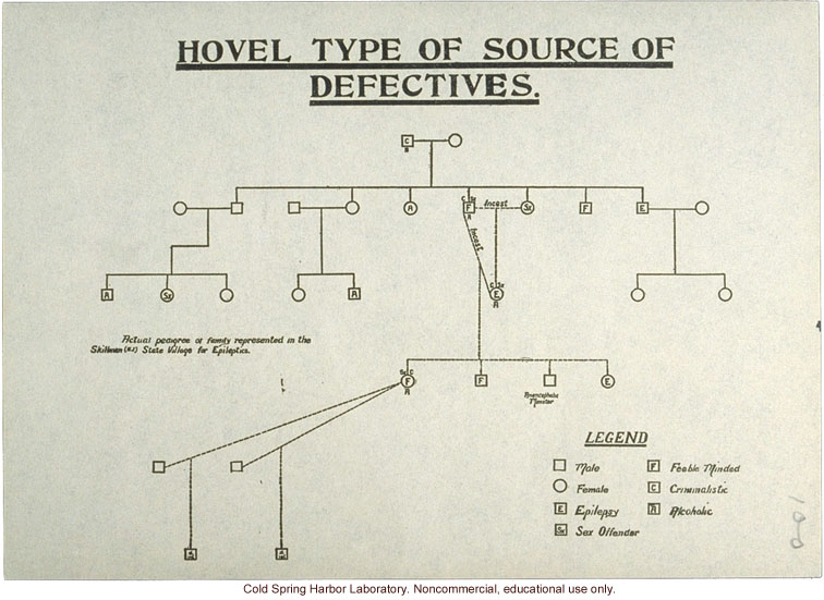 &quote;Hovel Type of Source of Defectives,&quote; pedigree of epilepsy and feeblemindedness