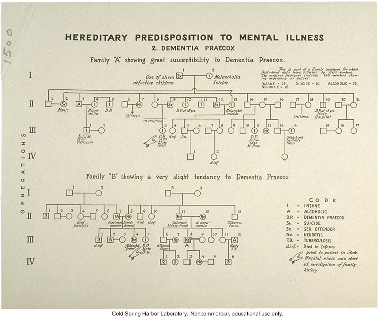 &quote;Hededitary Predisposition to Mental Illness: Dementia Praecox&quote; (schizophrenia)