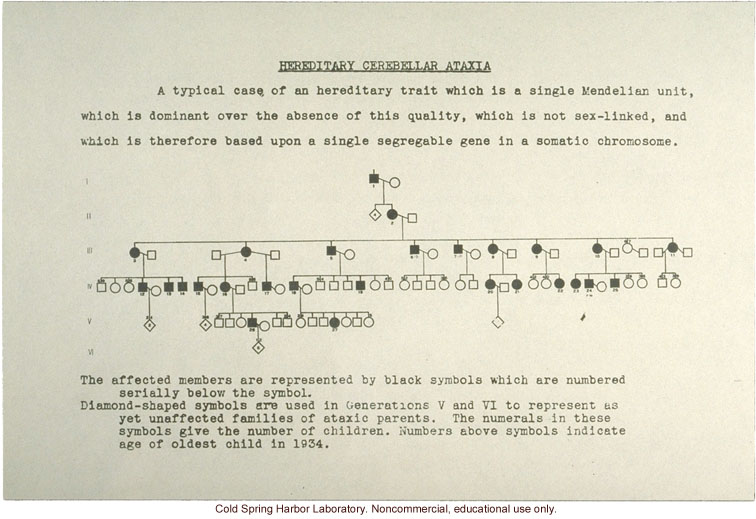 &quote;Hereditary Cerebellar Ataxia,&quote; pedigree of an autosomal dominant disorder