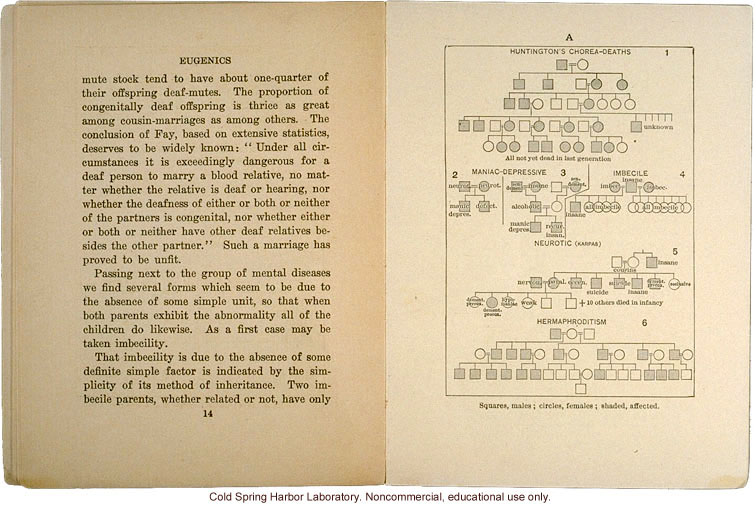 <i>Eugenics: The Science of Human Improvement by Better Breeding</i>, by Charles B. Davenport