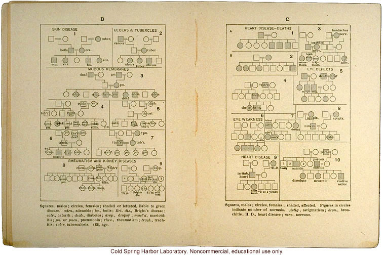 <i>Eugenics: The Science of Human Improvement by Better Breeding</i>, by Charles B. Davenport