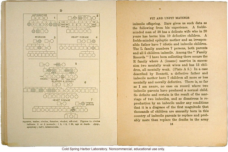 <i>Eugenics: The Science of Human Improvement by Better Breeding</i>, by Charles B. Davenport