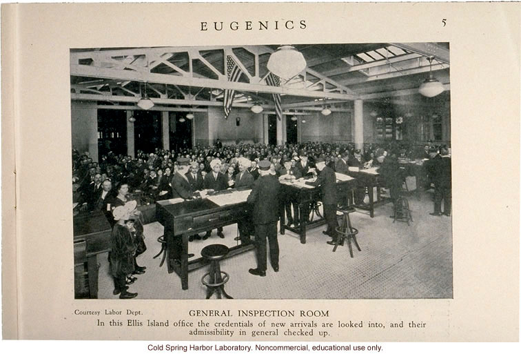 &quote;General Inspection Room Ellis Island,&quote; Eugenics: A Journal of Race Betterment (vol II:8)