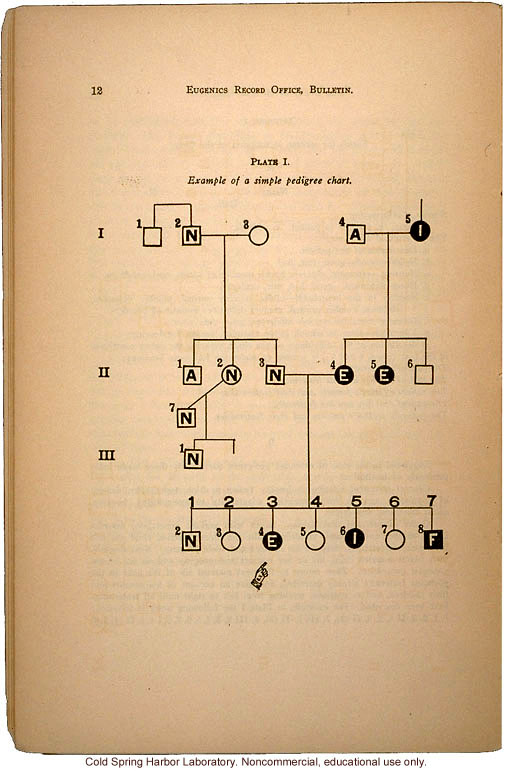 &quote;The Study of Human Heredity,&quote; by Davenport, Laughlin, Weeks, Johnstone, and Goddard, Eugenics Record Office Bulletin No. 2