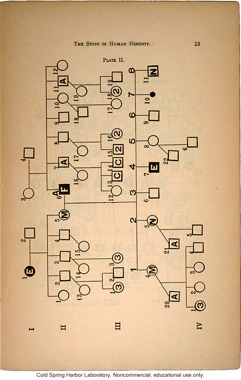 &quote;The Study of Human Heredity,&quote; by Davenport, Laughlin, Weeks, Johnstone, and Goddard, Eugenics Record Office Bulletin No. 2