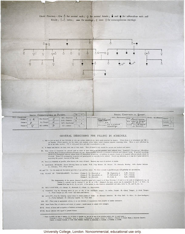 &quote;Schedule for the Hereditary Transmission of Special Diseases,&quote; completed for Karl Pearson study