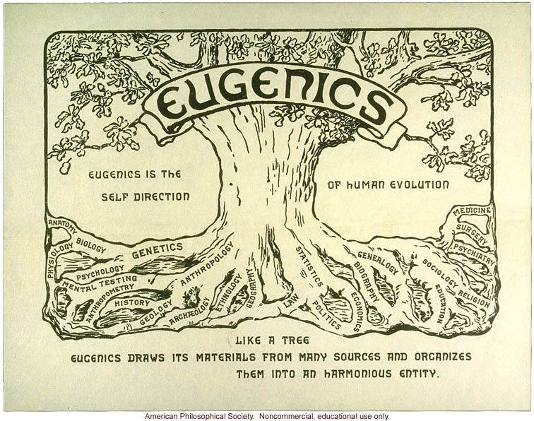 Eugenics tree logo