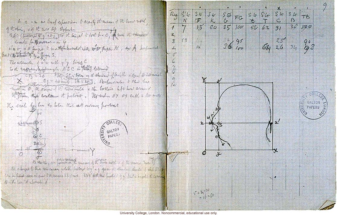 Anthropometric measurements of the human profile, Francis Galton notebook