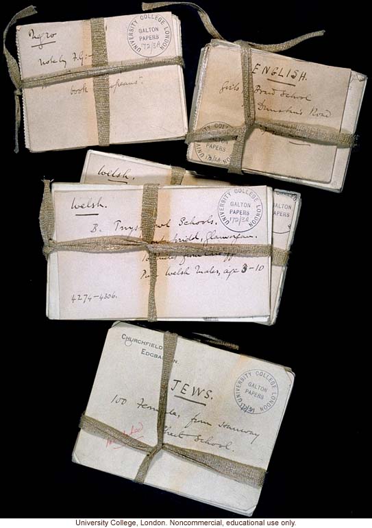 Overview of Francis Galton's collection of fingerprint cards, showing ethnic labels (Jews, Welsh, English, Negro)