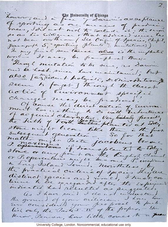 Charles Davenport letter to Karl Pearson, emphasizing his break with Bateson and De Vries on environmentally induced mutations (7/7/1903)